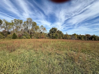 1660 Crocus Rd, Creelsboro, KY 42629