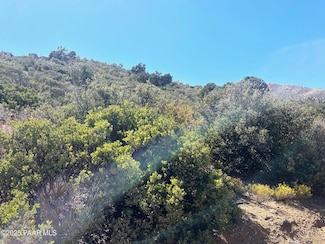 000 McGee Pass, Wikieup, AZ 85360