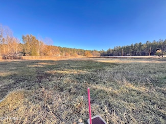 2445 S Jan Ln Unit 61, Pinetop-Lakeside, AZ 85935