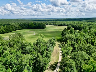 420 County Road 3343, Brundidge, AL 36010