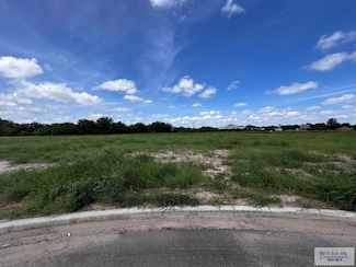 3520 Charolais Ct, Palmhurst, TX 78573