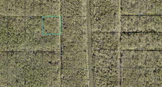 XXX W Deep Creek Blvd, Hastings, FL 32145