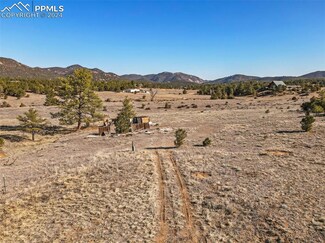 115 Harmon Dr, Cotopaxi, CO 81223