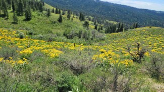 2488 Lappin Ln, Council, ID 83612