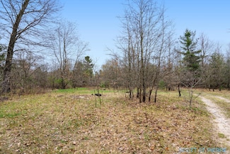 VL Whitehall Rd, Whitehall, MI 49461