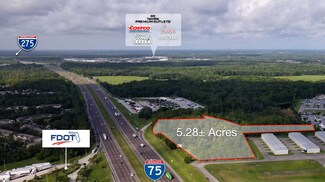 4214 Cypress Gulch Dr, Lutz, FL 33559