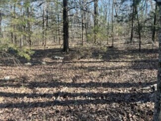 001-00170-006 Marion County 6071, Flippin, AR 72634