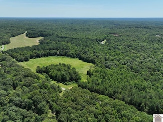 000 Rockcastle Springs Rd Unit (Trigg Co. KY 50.23), Cadiz, KY 42211