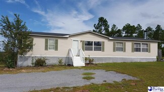 434 W Ash Ave, Mc Bee, SC 29101