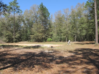 81 Malloy Rd, Defuniak Springs, FL 32433