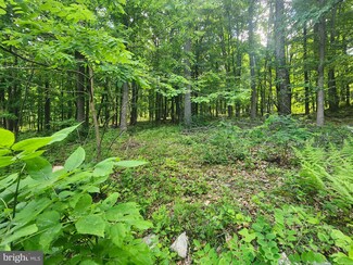 LOT 65 Cabin Rd, Capon Bridge, WV 26711