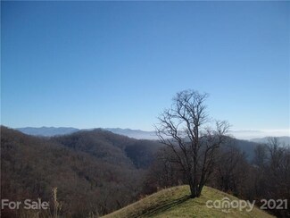 00 Flynn Branch Rd, Marshall, NC 28753