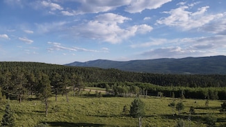 Lot 155 Beaver Loop, Angel Fire, NM 87710