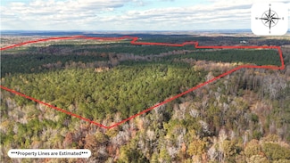 407 County Road 258, Five Points, AL 36855