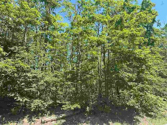 1428 Andover Club Dr, Pleasantview Township, MI 49740