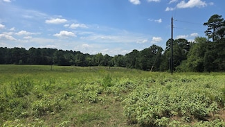 Lot 2 County Road 3203, Mount Enterprise, TX 75681