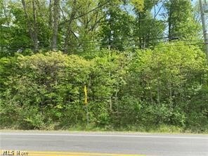 56 W Twinsburg Rd, Northfield Center Township, OH 44067