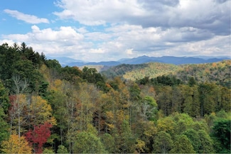 Vl40 Mountain Forest Estates, Sylva, NC 28779