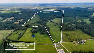 2073 Hudson Rd, Virgilina, VA 24598