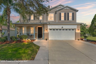 5412 Hammock View Ln, Apollo Beach, FL 33572