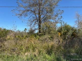 5499 E Stokes Ferry Rd, Hernando, FL 34442