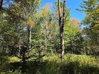 Lot 9 McDonald Rd, Steuben, NY 13438