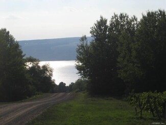 0 Goodwin Hill Rd Unit R321477, Barrington, NY 14837