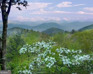 LOT #94 Sally Ride Trail, Clayton, GA 30525