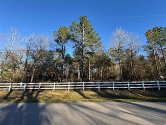 33726 Thousand Oaks, Magnolia, TX 77354