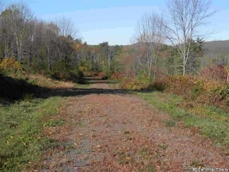TBD- LOT 3 Minnewaska Trail, Kerhonkson, NY 12446