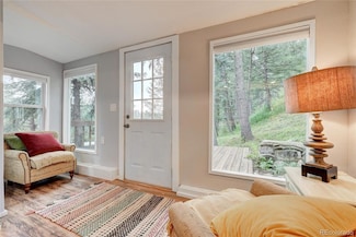 4642 Plettner Ln, Evergreen, CO 80439