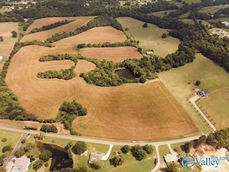 73 acres Lane Switch Rd, Albertville, AL 35951