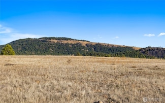1278 Mountain Creek Dr, Cle Elum, WA 98922