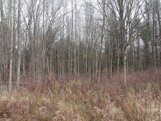 Lot 0001 Palms Rd, Casco, MI 48064