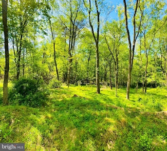 Lot: 35 Paradise Rd, Todd Township, PA 16657