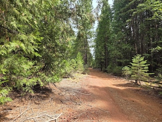 LOT 28&29 Emerald Way, Shingletown, CA 96088
