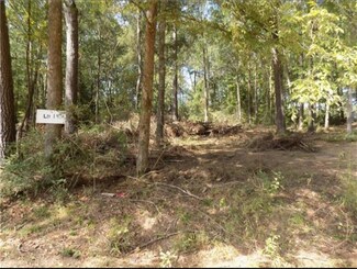 0 Shannon Ln Unit 2422489, Chatham, LA 71226