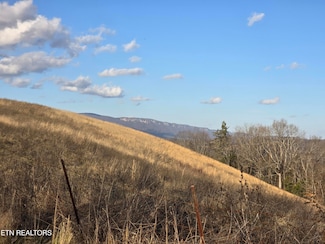 787 Oak Grove Rd, Harrogate, TN 37752