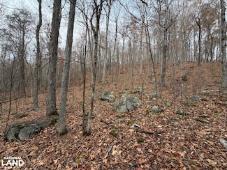 0 Spring Hill Rd, Healing Springs, VA 24445