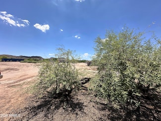 11910 S 222nd Ave, Buckeye, AZ 85326