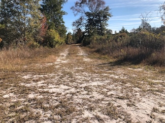 0 Timberland Ct Unit 7667912, Woodbine, GA 31569