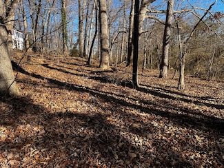 000 Virgilina Cir, Cana, VA 24317