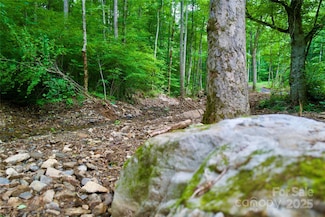 000 Shadowood Dr, Spruce Pine, NC 28777