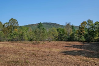 525 Station Rd, Mount Holly, VT 05758