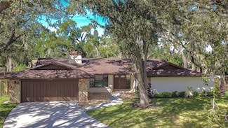 2102 Doefield Ct, Valrico, FL 33596