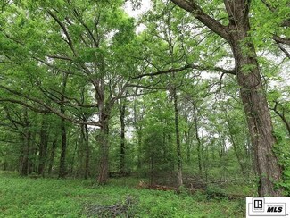 0 Forest Cemetery Rd, Pioneer, LA 71266