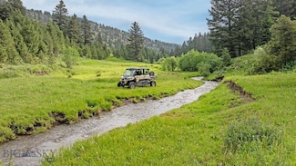 TBD Willow Creek North Fork Rd, Livingston, MT 59047