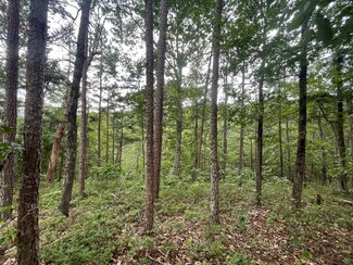1314 Arrow Ct, Ranger, GA 30734