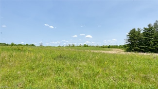 63700 Wintergreen Rd, Lore City, OH 43755