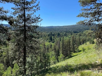 28 Buckcamp Ln, McCall, ID 83638